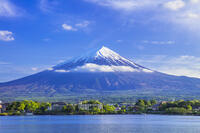 新緑の河口湖と富士山 [STE110007055]