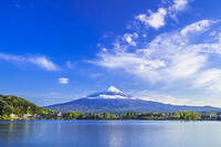 新緑の河口湖と富士山 [STE110007056]