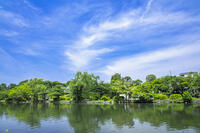 青空の石神井公園 [STE110007060]