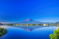 河口湖の新緑と富士山 [STE110007080]