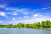 新緑の水元公園とみさと公園 [STE110007126]