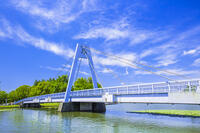 新緑の水元公園と水元大橋 [STE110007127]