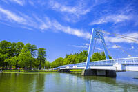 新緑の水元公園と水元大橋 [STE110007128]