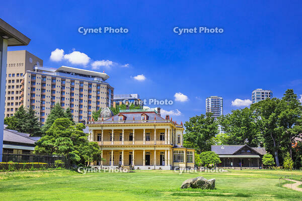 青空の旧岩崎邸庭園 [STE110007142]