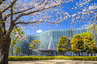 桜咲く新国立美術館 [YMA110016029]