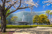 桜咲く新国立美術館 [YMA110016030]
