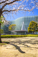 桜咲く新国立美術館 [YMA110016031]