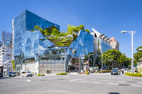 ハラカド [YMA110016167]