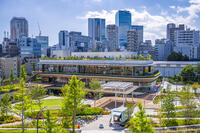 都立代々木公園の神南一丁目地区 [YMA110016169]