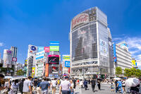 渋谷スクランブル交差点 [YMA110016170]