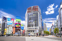 渋谷スクランブル交差点 [YMA110016172]