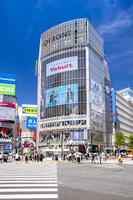 渋谷スクランブル交差点 [YMA110016173]