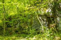 鷹丸尾溶岩の大露頭 [YMA110016178]