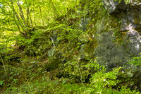 鷹丸尾溶岩の大露頭 [YMA110016179]