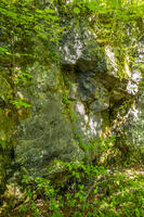 鷹丸尾溶岩の大露頭 [YMA110016180]