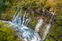 秋の白ひげの滝 [YMA110016191]