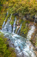 秋の白ひげの滝 [YMA110016192]