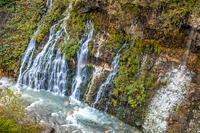 秋の白ひげの滝 [YMA110016193]