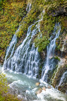 秋の白ひげの滝 [YMA110016195]