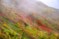 秋の銀仙台 [YMA110016197]