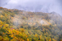 秋の銀仙台 [YMA110016198]