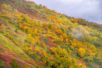 秋の銀仙台 [YMA110016199]