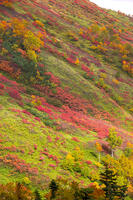 秋の銀仙台 [YMA110016200]