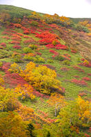 秋の銀仙台 [YMA110016202]