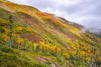 秋の銀仙台 [YMA110016205]
