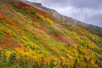 秋の銀仙台 [YMA110016207]