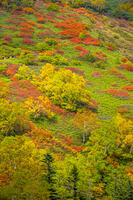 秋の銀仙台 [YMA110016208]