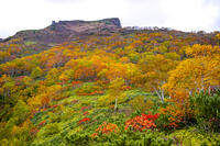 秋の黒岳 [YMA110016212]