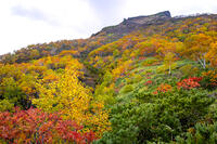 秋の黒岳 [YMA110016213]