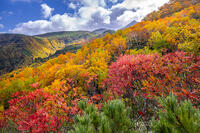 秋のあまりょうの滝展望台からの景色 [YMA110016214]