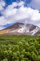 ハイマツと秋の旭岳 [YMA110016219]