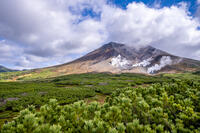 ハイマツと秋の旭岳 [YMA110016220]