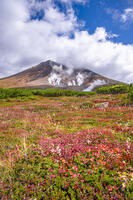 秋の旭岳 [YMA110016223]