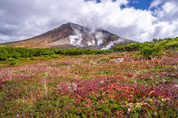 秋の旭岳 [YMA110016224]