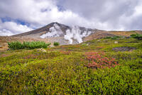 秋の旭岳 [YMA110016241]