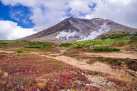 秋の旭岳 [YMA110016254]