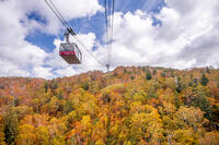 秋の旭岳ロープウェイ [YMA110016256]