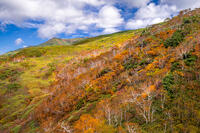 秋の旭岳ロープウェイからの景色 [YMA110016257]