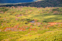 秋の旭岳ロープウェイからの景色 [YMA110016260]