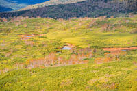 秋の旭岳ロープウェイからの景色 [YMA110016261]