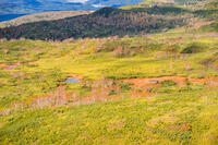 秋の旭岳ロープウェイからの景色 [YMA110016262]