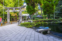 白川水源と白川吉見神社 [YMA110016357]