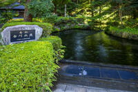 白川水源 [YMA110016360]