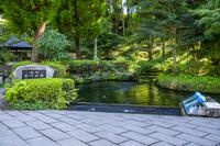 白川水源 [YMA110016361]