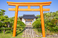 門倉岬の御崎神社 [YMA110016389]