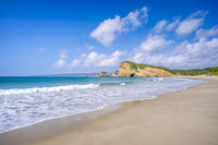 象の水飲み岩 [YMA110016401]